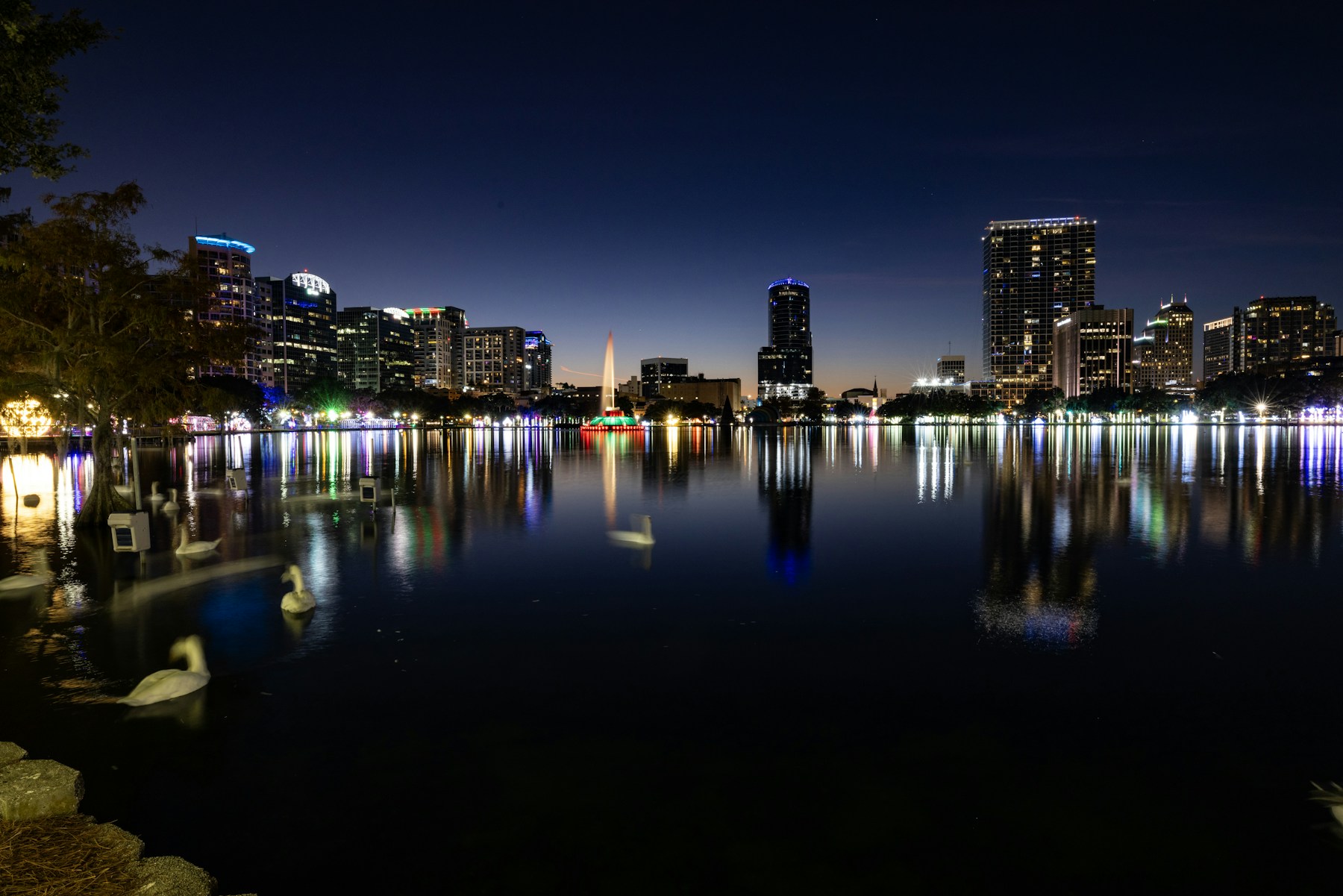 Downtown Orlando and the Lake Eola fountain illuminated at night